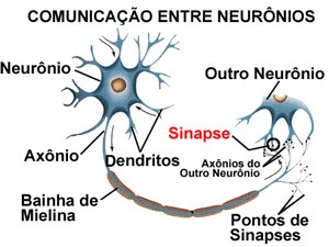 neuronios